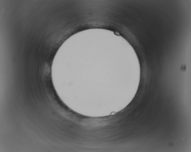 X0000115790025200912241841