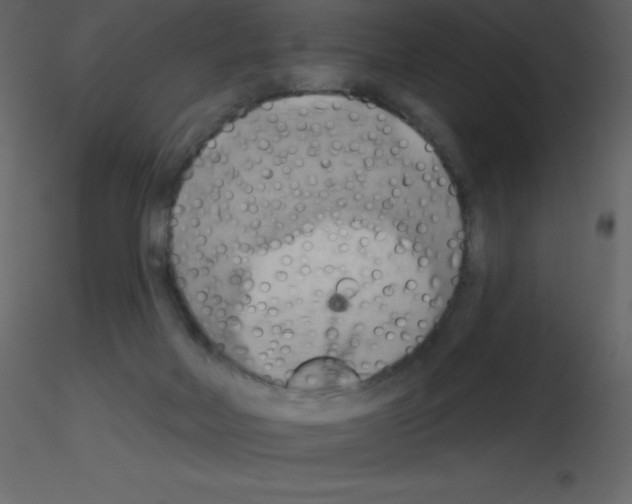 X0000115790026200912241841