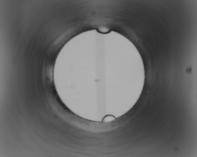 X0000115790027200912241841