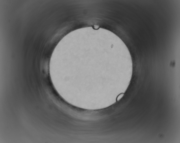 X0000115790028200912241841