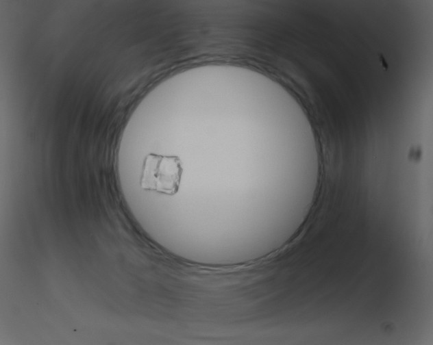 X0000115790029200912241841