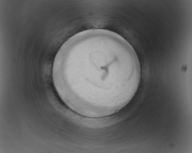 X0000115790030200912241841