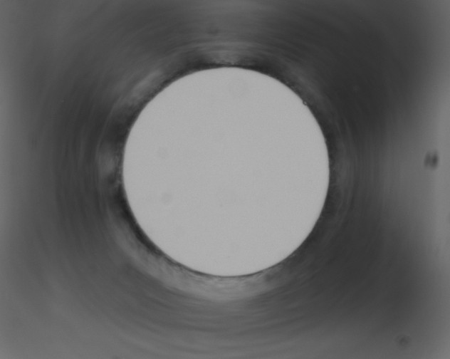 X0000115790031200912241841
