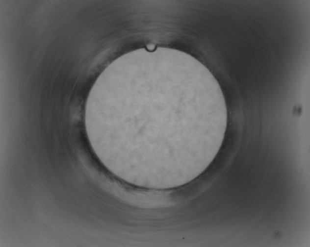 X0000115790032200912241841