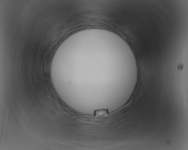 X0000115790033200912241841
