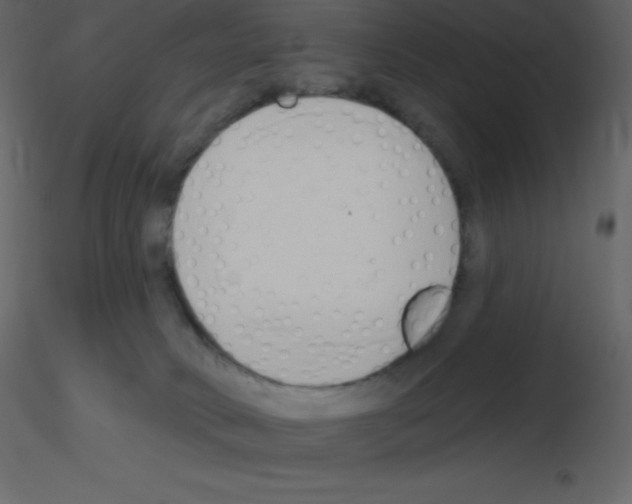 X0000115790034200912241841