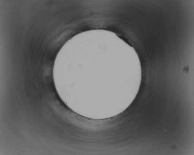 X0000115790035200912241841