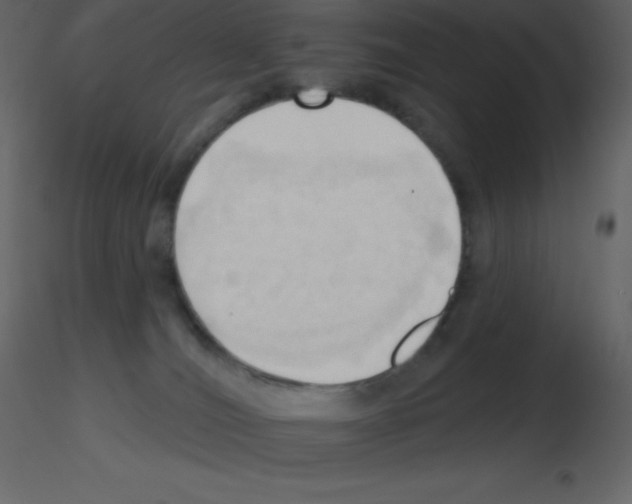 X0000115790036200912241841