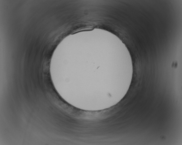 X0000115790037200912241841