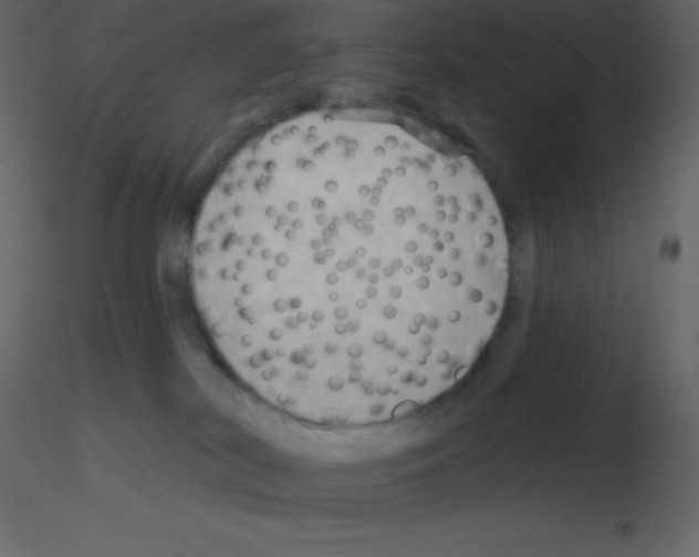 X0000115790038200912241841