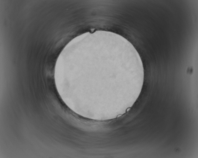 X0000115790040200912241841