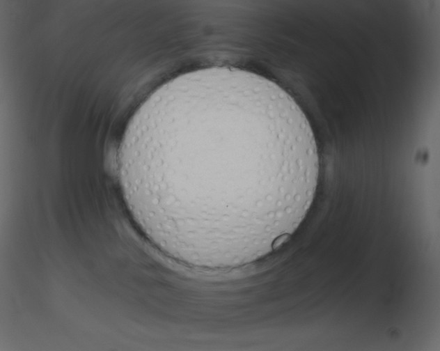 X0000115790042200912241841
