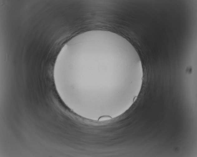 X0000115790043200912241841