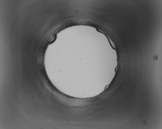 X0000115790044200912241841