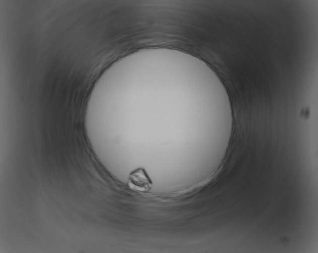 X0000115790045200912241841
