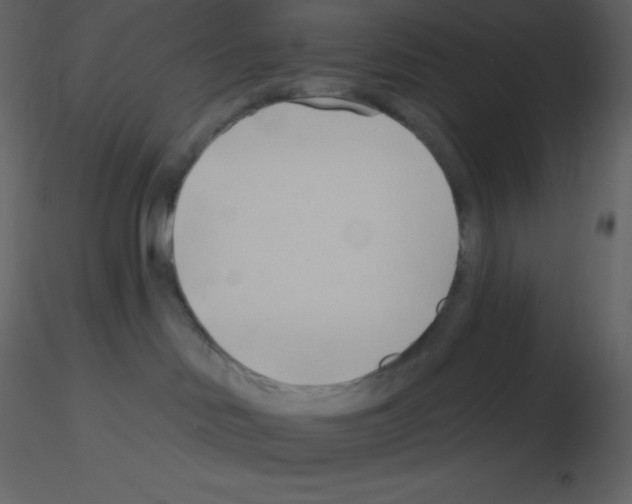 X0000115790046200912241841