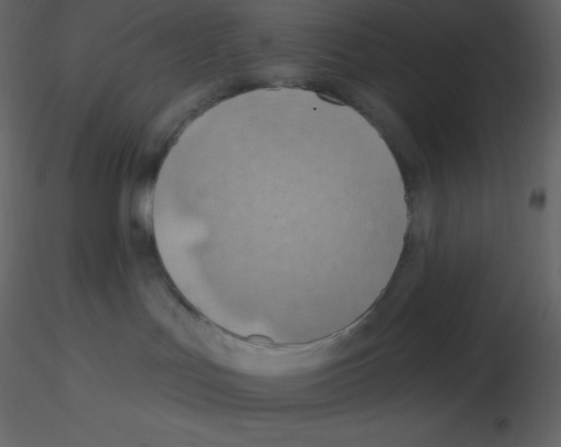 X0000115790047200912241841