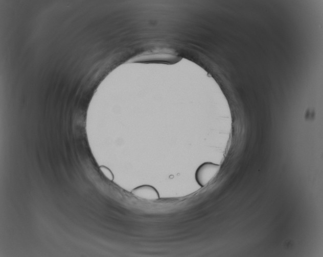 X0000115790048200912241840