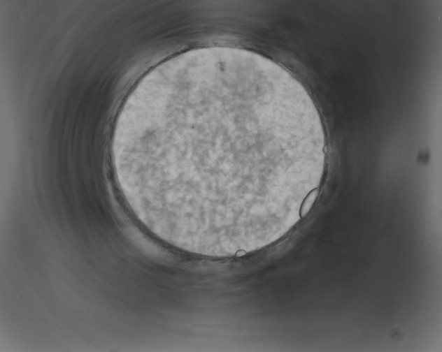 X0000115790049200912241840