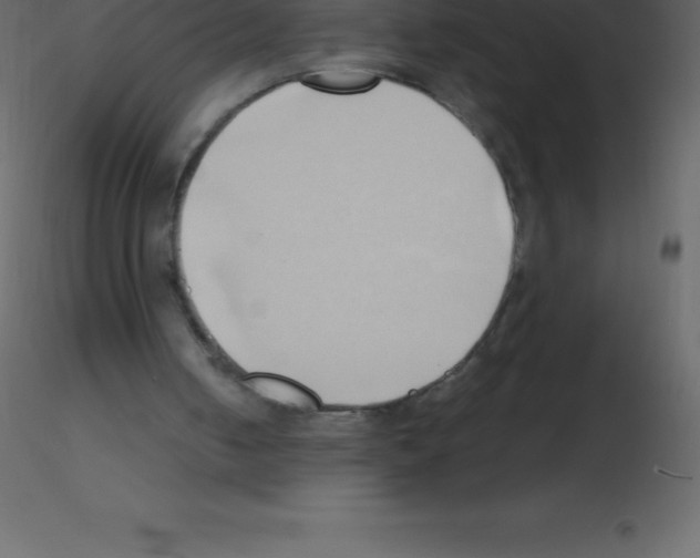 X0000115790050200912241840