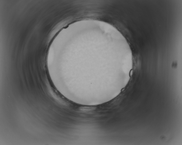 X0000115790051200912241840
