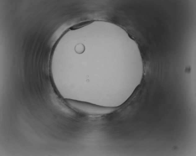 X0000115790052200912241840