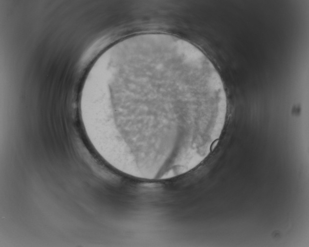 X0000115790053200912241840