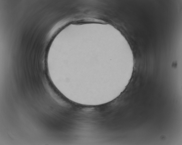 X0000115790054200912241840
