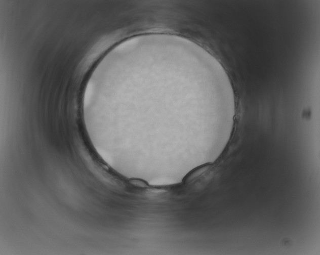 X0000115790055200912241840