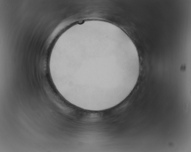 X0000115790056200912241840