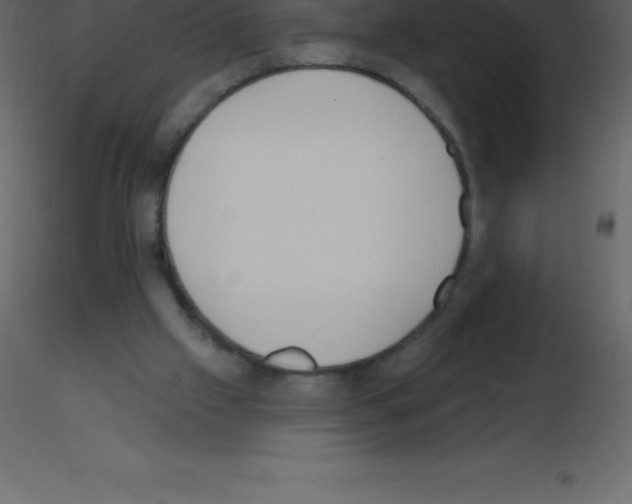 X0000115790057200912241840
