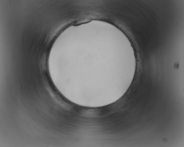 X0000115790058200912241840