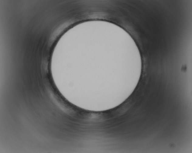 X0000115790060200912241840