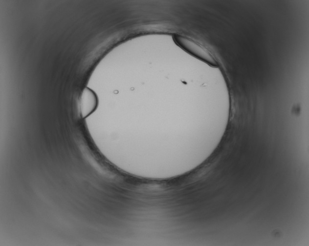 X0000115790061200912241840