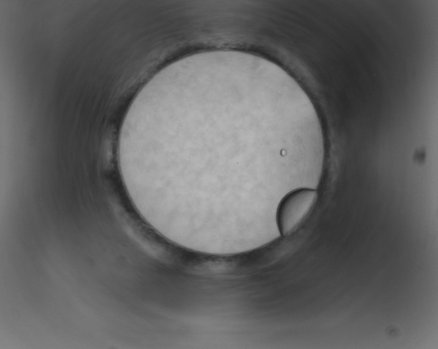 X0000115790065200912241840