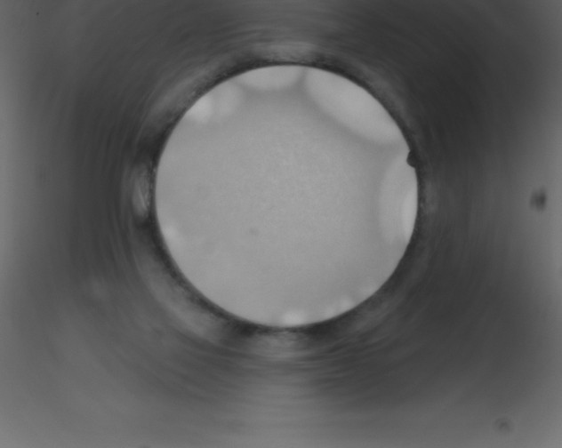 X0000115790069200912241840