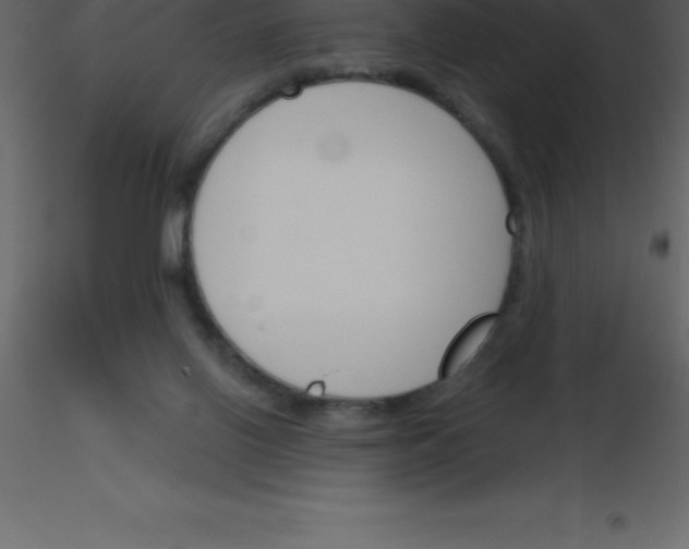 X0000115790070200912241840
