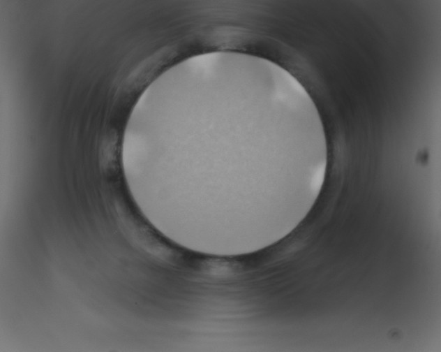X0000115790073200912241840