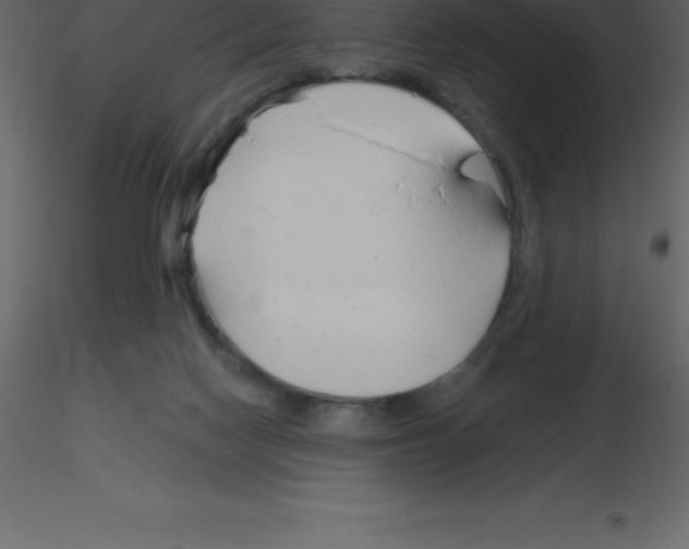 X0000115790074200912241840