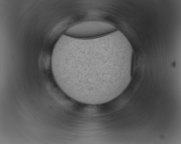X0000115790076200912241840