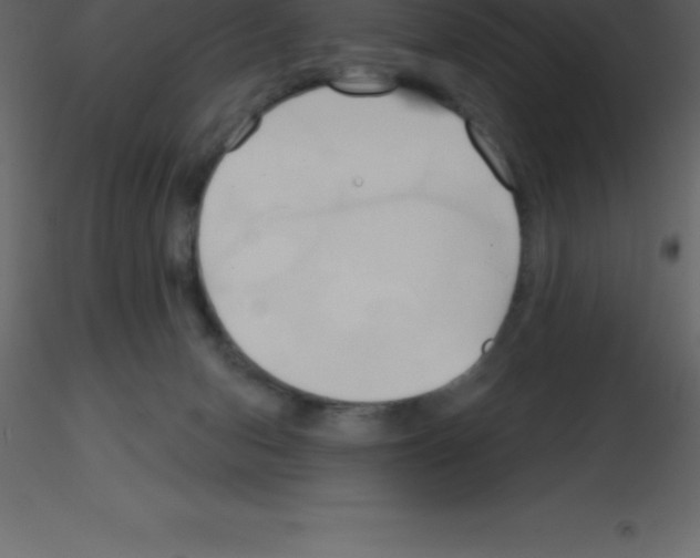 X0000115790078200912241840