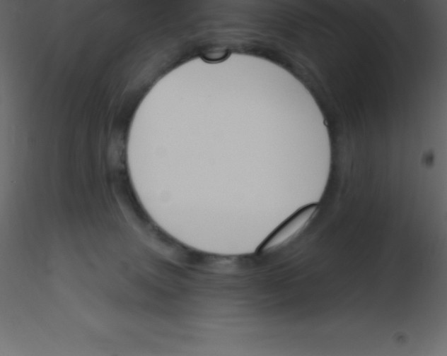 X0000115790083200912241840
