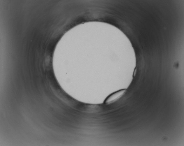 X0000115790087200912241840