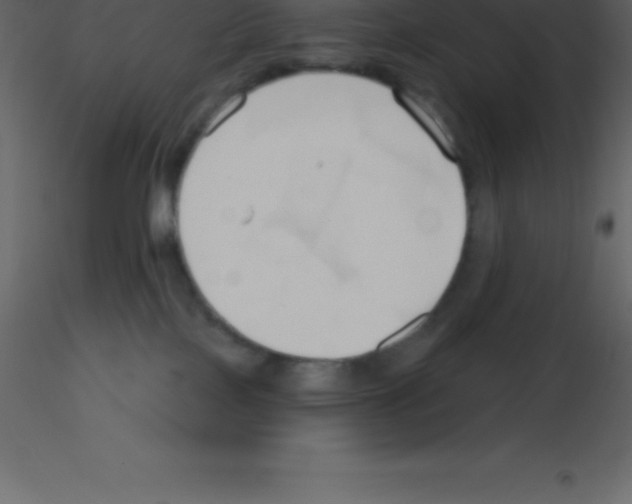 X0000115790089200912241840