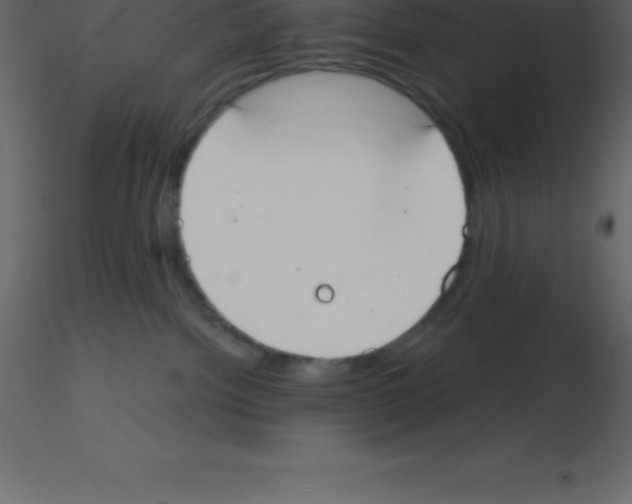 X0000115790092200912241840