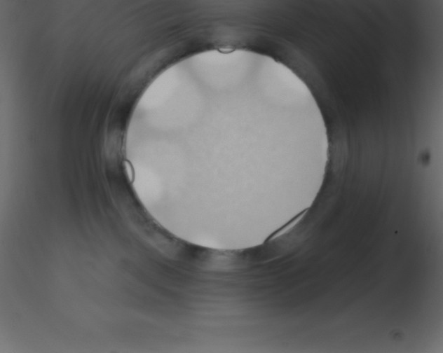 X0000115790093200912241840