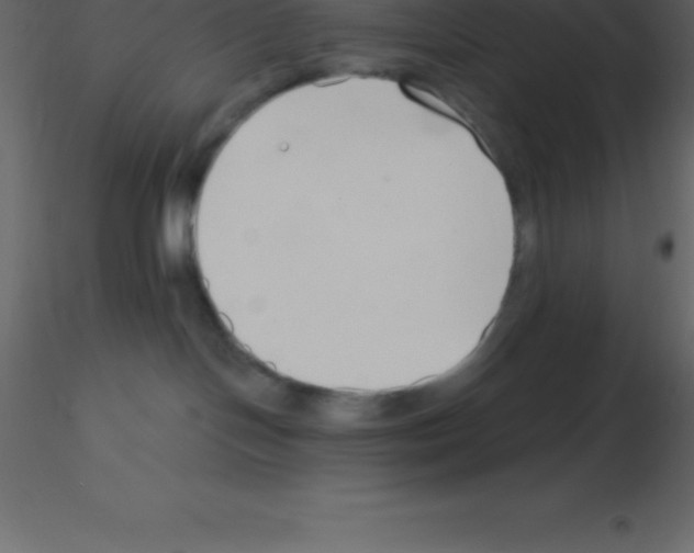 X0000115790094200912241840