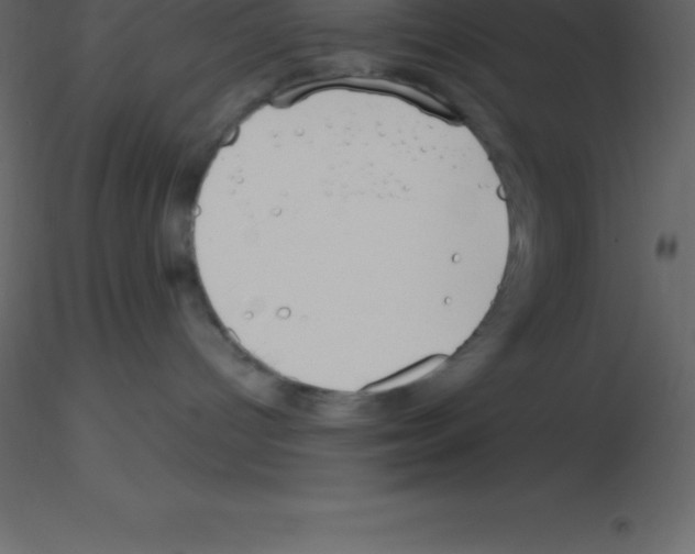 X0000115790096200912241840