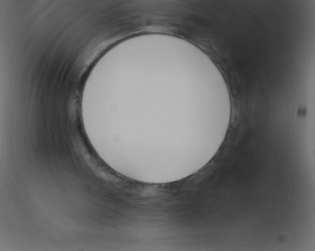X0000115790098200912241840