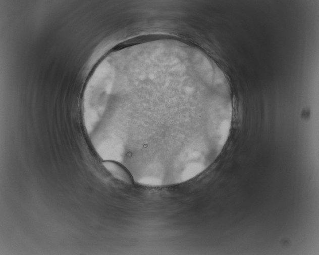 X0000115790099200912241840